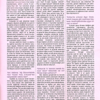 plus-mart-2003-yazi-4